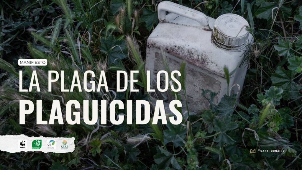 Nos Adherimos Al Manifiesto La Plaga De Los Plaguicidas Impulsado